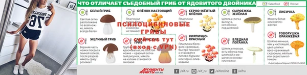 молекула духа Белокуриха