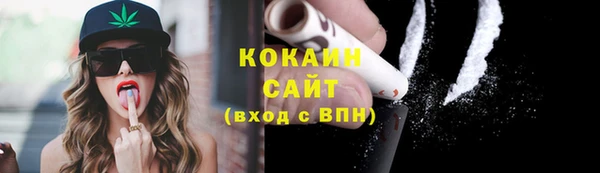 молекула духа Белокуриха