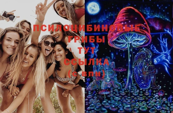 молекула духа Белокуриха