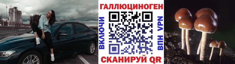 кракен ТОР  купить  сайты  Богородицк  Псилоцибиновые грибы MAGIC MUSHROOMS 